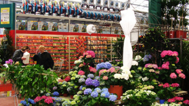 Neues Gartencenter-Konzept umgesetzt