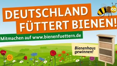IVG unterstützt weiterhin Initiative „Bienen füttern!“