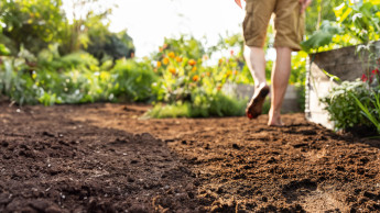 Compo verpflichtet sich zum Klimaschutz