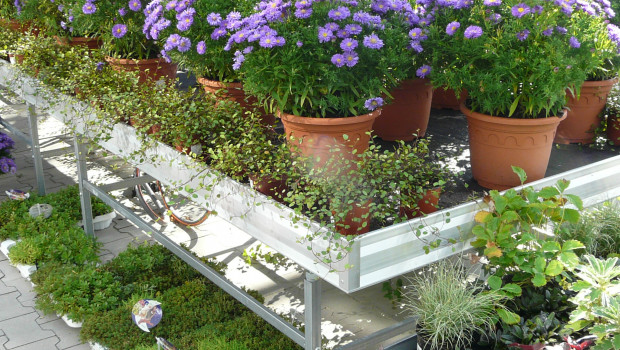 Gartencenter September Gartencenter September