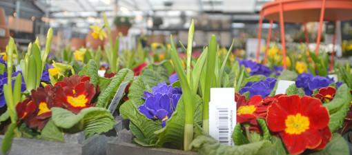Biodiversität? Check!