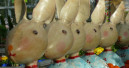Frohe Ostern!