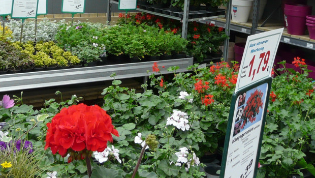 Der Gartenhandel hatte im ersten Quartal Umsatzrückgänge zu verzeichnen.