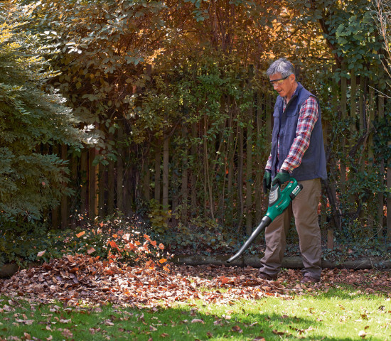 Herbstzeit ist Laubbläserzeit - auch in den Online-Shops.
