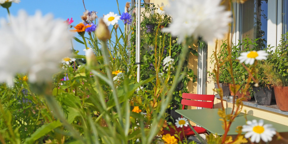 Gardening braucht nicht unbedingt einen Garten. In der Stadt tut’s auch der Balkon.