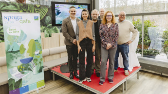 Pressekonferenz unter Palmen