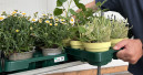 Euro Plant Tray startet Crowdinvesting