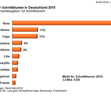 AMI: Die Top 10 der Schnittblumen. AMI: Die Top 10 der Schnittblumen.