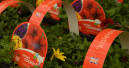 Britische Gartencenter setzen 30 Prozent mehr um