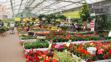 Gartenhandel legt im Juli nur nominal zu
