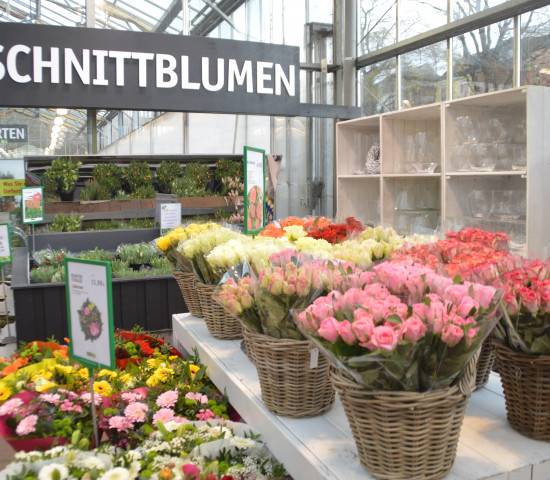 Schnittblumen bleiben trotz eines um 1,5 Prozent geschrumpften Marktvolumens das wichtigste Segment.