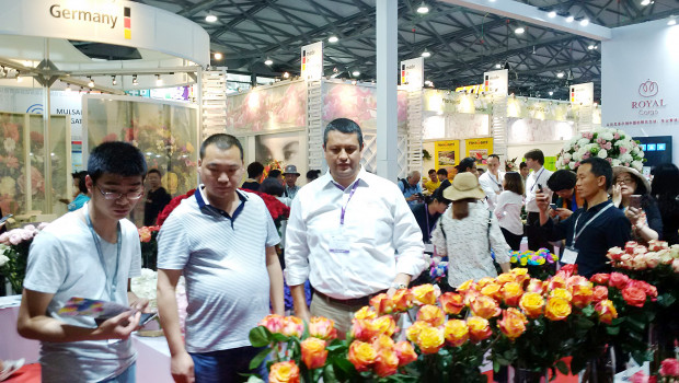 Die Hortiflorexpo IPM Shanghai hat 57 Prozent mehr Besucher angezogen als vor einem Jahr.