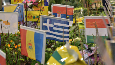 Die Internationale