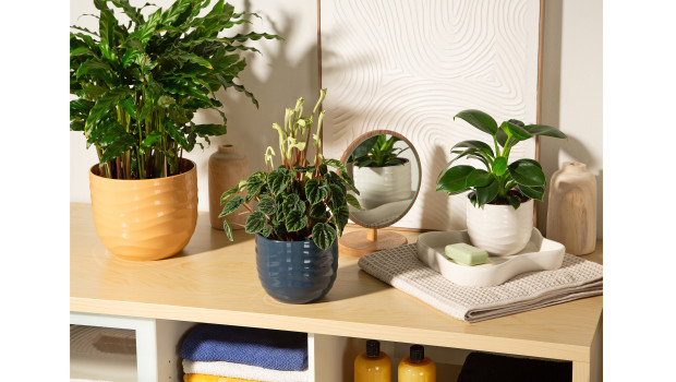 Scheurich, Übertopfserie Scheurich, Übertopfserie