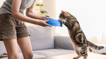 Katzenfutter hui, Kleintier- und Vogelfutter pfui Katzenfutter hui, Kleintier- und Vogelfutter pfui