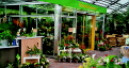 Garten jetzt bei 22 Prozent