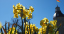 Frohe Ostern!