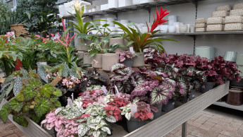 Garten und Zoo bleiben im Januar unter Vorjahr