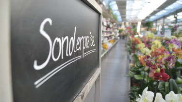 Gartenhandel schließt 2019 mit nominal plus 2,9 Prozent ab