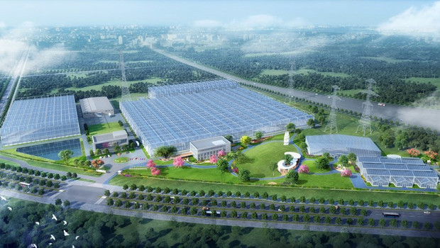Anfang 2023 geht das Tangchao-Projekt in seine zweite Phase.