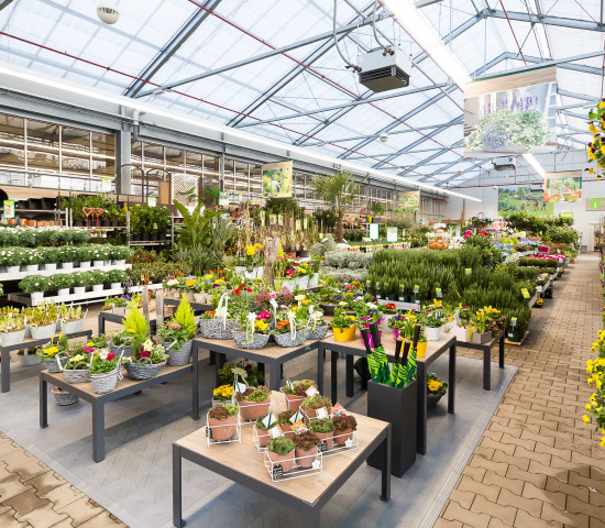 Dehner hat seinen ersten Standort in Erfurt im ehemaligen Maronde's Gartenparadies eingerichtet.
