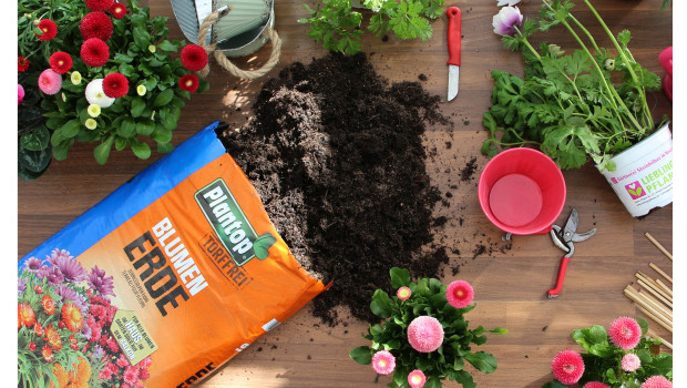 Gregor Ziegler, Blumenerde Gregor Ziegler, Blumenerde