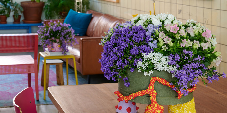 Dass Blumen und Pflanzen das Zuhause schöner machen, wurde vielen während der Pandemie bewusst.