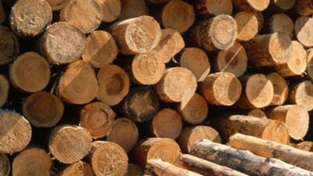 Die deutsche Holzindustrie verzeichnete im ersten Halbjahr 2014 ein Umsatzwachstum von 3,9 Prozent. Die deutsche Holzindustrie verzeichnete im ersten Halbjahr 2014 ein Umsatzwachstum von 3,9 Prozent.