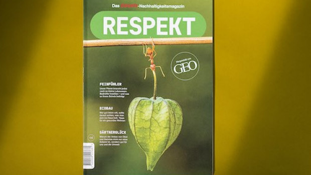 Das Magazin informiert seine Leserinnen und Leser über Nachhaltigkeitsaktivitäten von Toom und bietet konkrete Handlungsempfehlungen, wie man selbst zum Wandel beitragen kann.