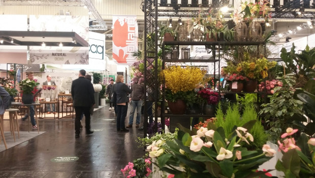 Heutet startete die IPM in Essen.