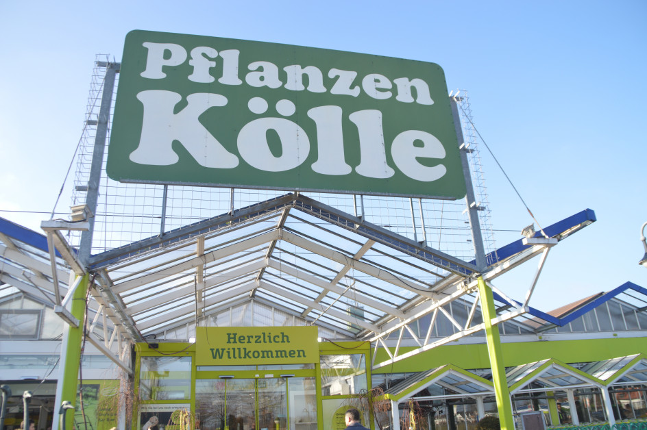 Viele Gartencenter öffnen sonntags diy online