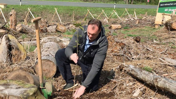 Bio Green startet "Operation Borkenkäfer"