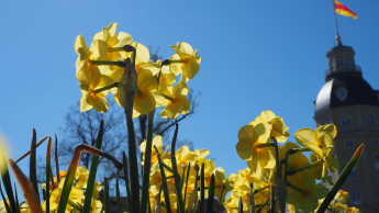 Frohe Ostern!