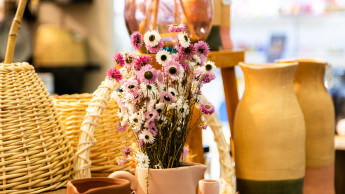 IAW feiert 2026 Jubiläum