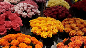 Valentin liebt seine Locals – außer die Blumenläden