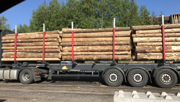 Auch aus den Sägewerken kommt derzeit weniger Rinde, weil dort wegen Corona weniger gearbeitet wird. Foto: Gregor Ziegler GmbH