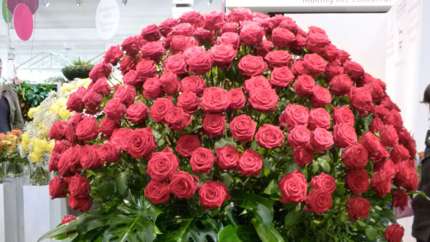 Rosen von Rot bis Pastell erfüllen die Wünsche der meisten Konsumenten am Valentinstag.  