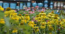 Garten und Heimtier setzen Minus-Serie fort