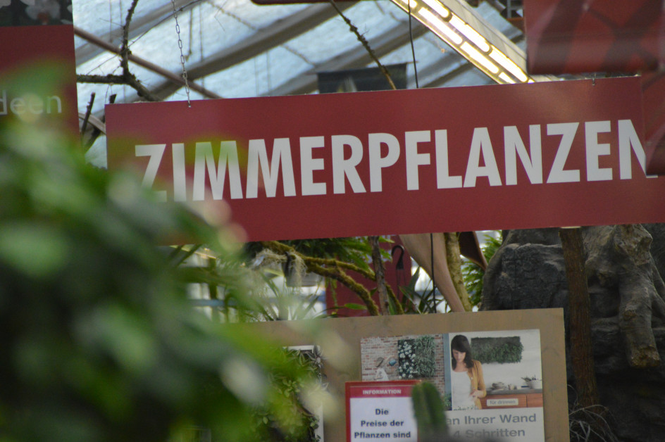 Markt für Blumen und Zierpflanzen d... diy online