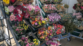 Blumen weiterhin beliebtes Geschenk zum Muttertag
