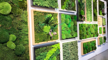 Neues Leben eingehaucht