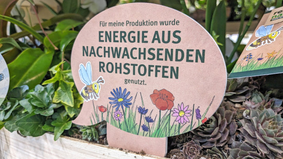 Nachhaltigkeit und Pflanzen, die besonders klimaresilient und biodiversitätsfördernd sind, standen im Fokus der 40. Ausgabe der IPM.