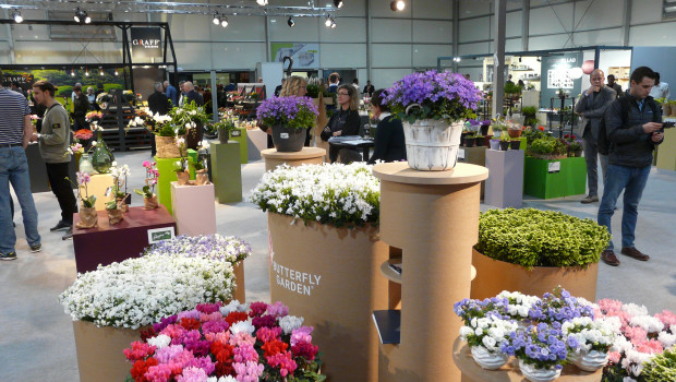 Mit rund 1.600 Ausstellern aus knapp 50 Ländern findet noch bis heute in Essen die IPM statt. Mit rund 1.600 Ausstellern aus knapp 50 Ländern findet noch bis heute in Essen die IPM statt.