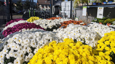 Weitsicht zahlt sich aus