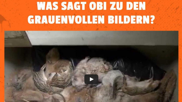 Die Tierschutzorganisation Peta macht Obi Druck wegen der Kleintierhaltung. 