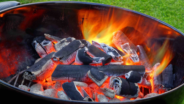 Vor allem FSC- und PEFC-Holzkohle will Toom in dieser Grillsaison anbieten. Foto: Toom/Shutterstock