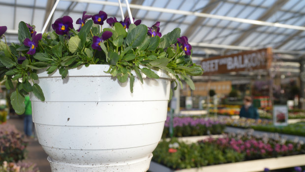 Um fast 16 Prozent lagen die Umsätze des Gartenhandels im Februar über dem entsprechenden Vorjahresniveau.