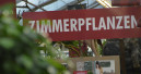 Markt für Blumen und Zierpflanzen dürfte 2016 Rekordvolumen erreicht haben