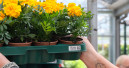 Euro Plant Tray führt zwei neue 200er-Modelle ein