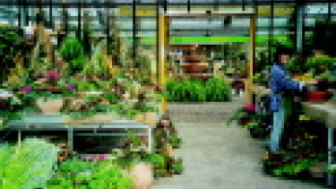 Erlebnisreiches Gartencenter: Mediterrane Anklänge in der Pfalz